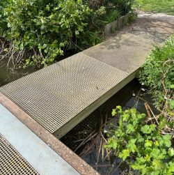 walk wood bridge